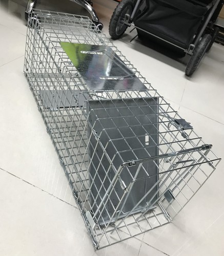 Large humane rat trap cage - rat,