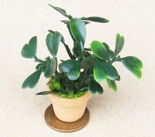 Dolls House Light & Dark Green