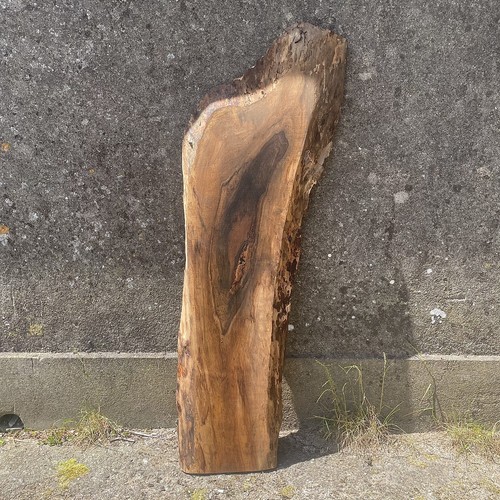 English walnut slab live - walnut, edge