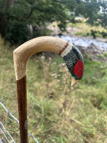 Rams horn walking stick handle - rams,