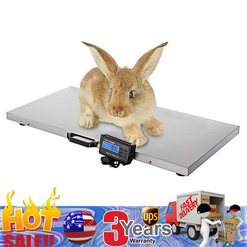 1000lbs animal scale stainless - 1000lbs,