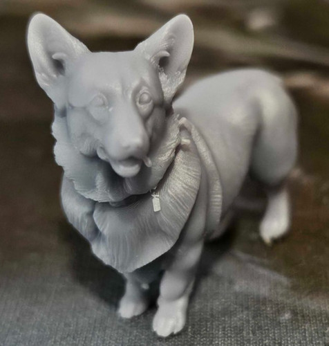 Corgi for modelers - -,