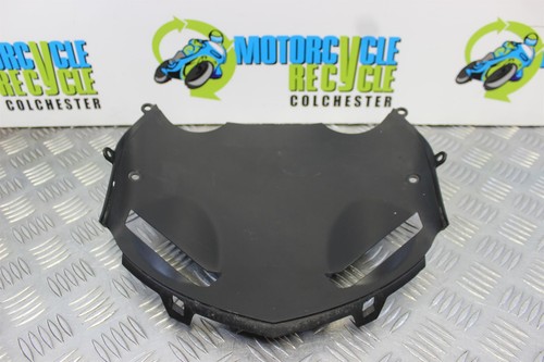 Kawasaki r panel - kawasaki, 10