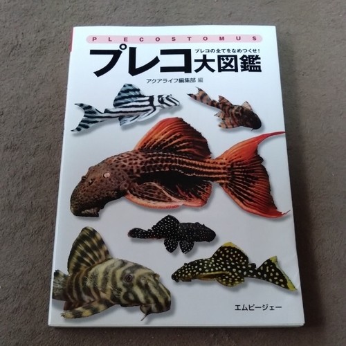 Mpj prehistoric catfishes - mpj,