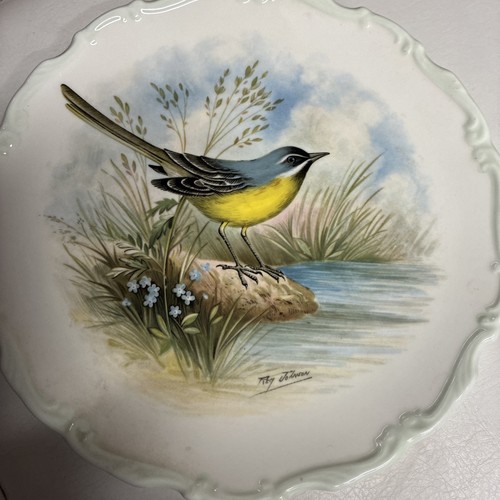 The woodlands bird - the,