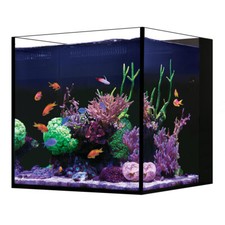 18.5 Gallon Desktop Cube