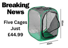 Bulk Pack Pop Up Insect Cages Ideal - Praying Mantis, Butterflies, Stick Insect