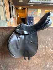 Albion saddle equestrian