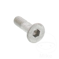 Brake Disc Bolt M8 1.25 X 25mm