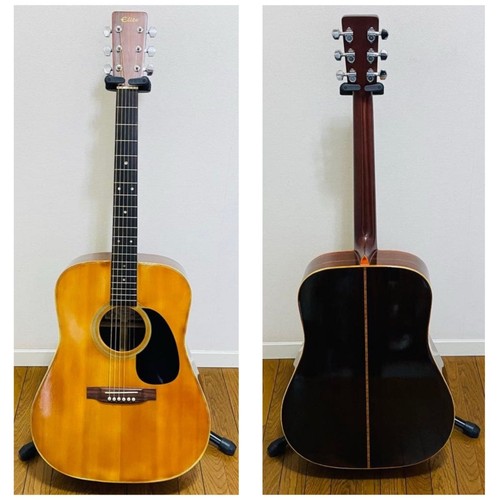 Takamine elite vintage - takamine, tw-40