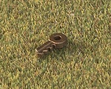 Sylvanian  Families Grand