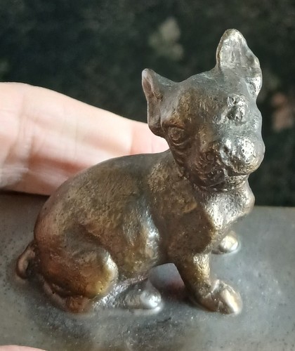 French bulldog bronze - french,