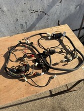 Lexmoto Echo 50 Wiring Loom