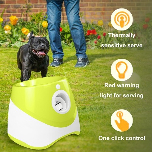 Dog automatic ball launcher - dog,