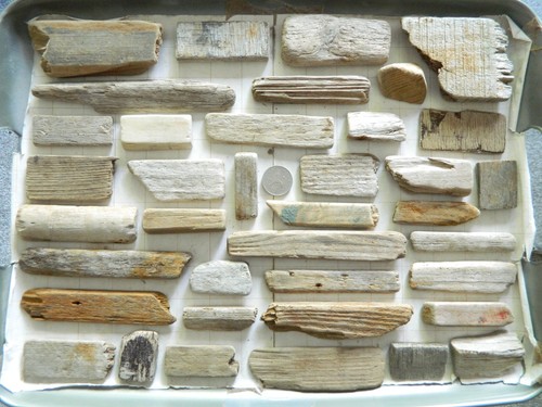Driftwood pieces flat one - driftwood,