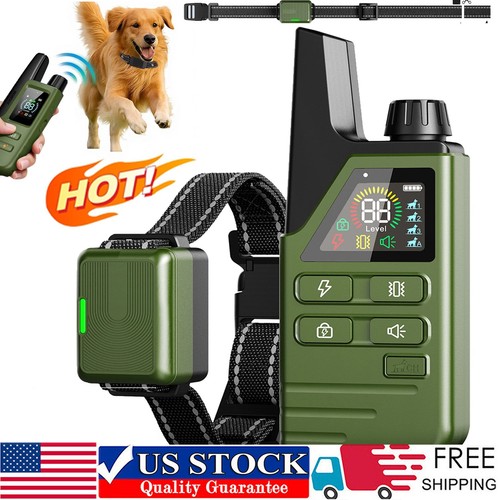 4500 dog training collar - dog,