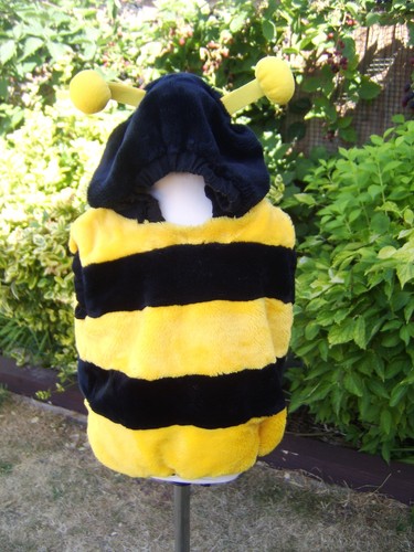 Halloween bumble bee - halloween, dressing