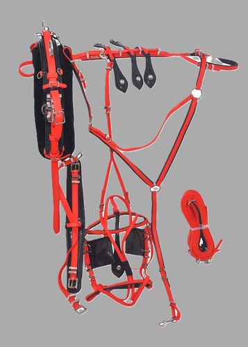 Pvc quick hitch horse - quick, driving