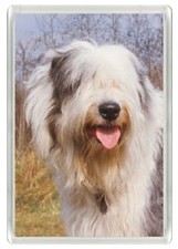 OLD ENGLISH SHEEPDOG DOG HEAD ART PRINT ACRYLIC NOVELTY FRIDGE MAGNET GREAT GIFT