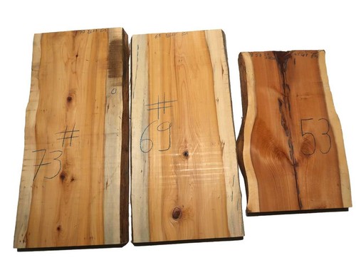 Yew timber - timber, rustic