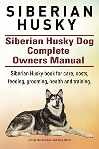 Siberian husky - husky.,