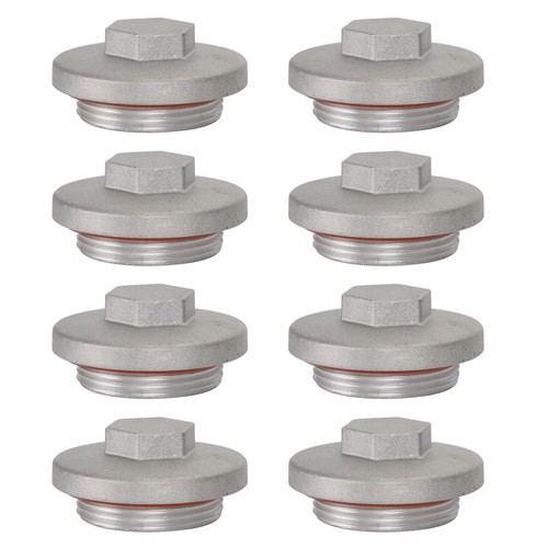Valve inspectio cap - 8x,