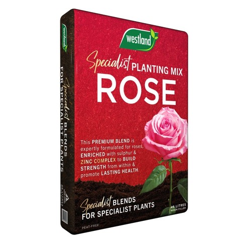 Westland rose specialist - rose,