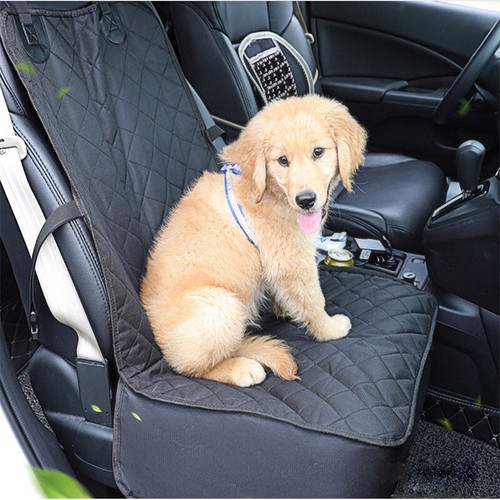 Water resistant pet - pet, dog