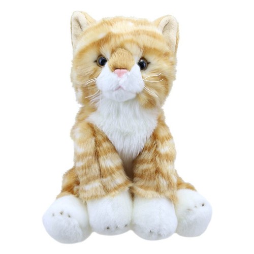 Wilberry favourites ginger cat - favourites,