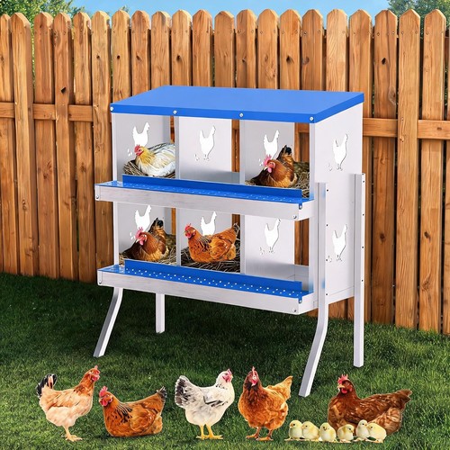 Chicken nest box 8 - chicken, 6/8