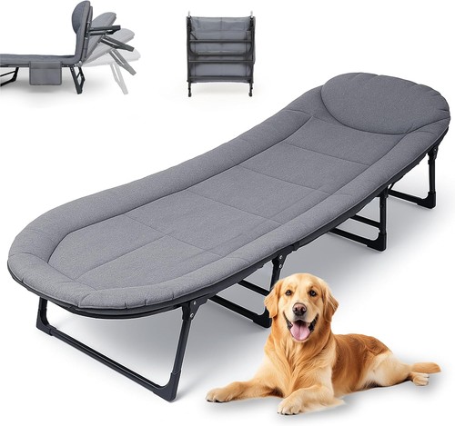 Single foldable folding - folding, bed