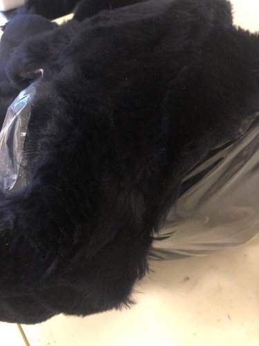 Sheepskin offcuts scraps