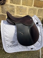 15’’ Black Maxam Pony