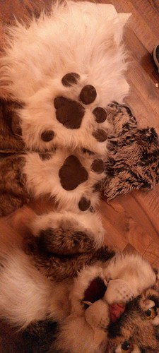 Fursuit head bobcat semi - bobcat,