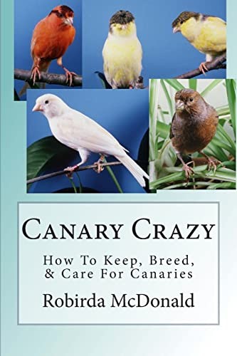 Canary crazy how - crazy:, keep