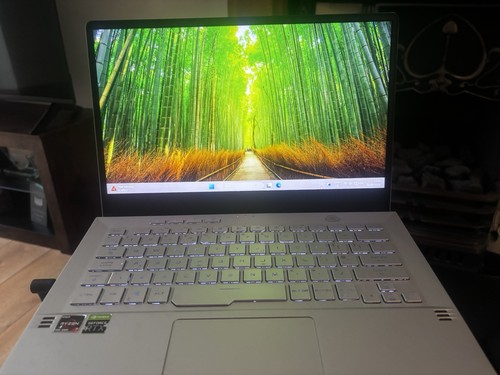 Asus rog zephyrus g14 - rog,