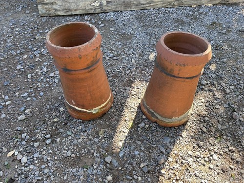 Pair 100 year old - of,