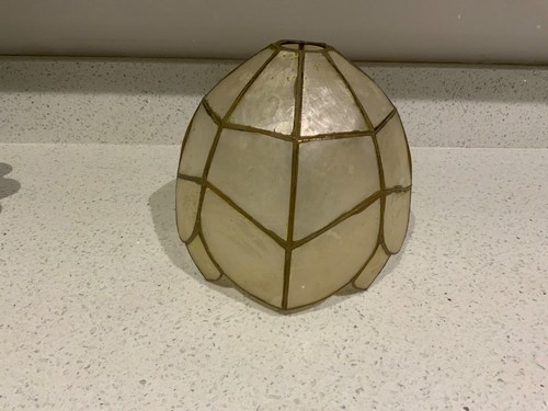 Vintage shell capiz light - vintage,
