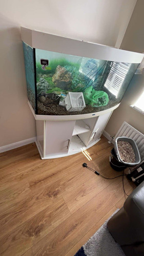 Juwel 180l bowfront glass - 180l,