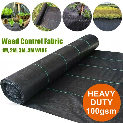 50m heavy duty - heavy, weed
