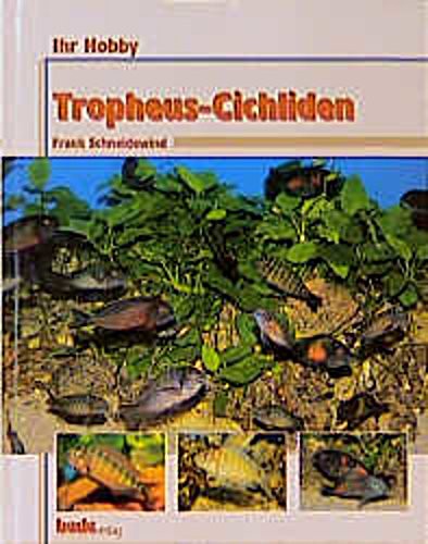 Tropheus cichliden ihr hobby - tropheus-cichliden,,
