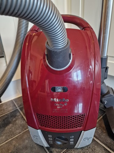 Miele cat and - cat,
