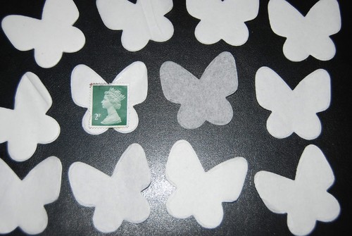 White butterfly bridal - -,