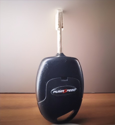 Fiesta key fob - fiesta,