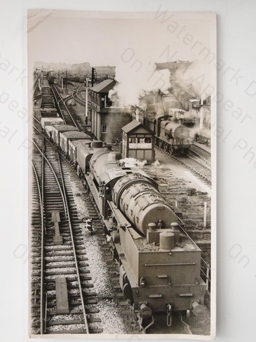 Steam train garratt locomotive - train,