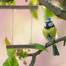  Parrot Play Stand Wood Bird Perch Swings for Parrots Hanging Toy