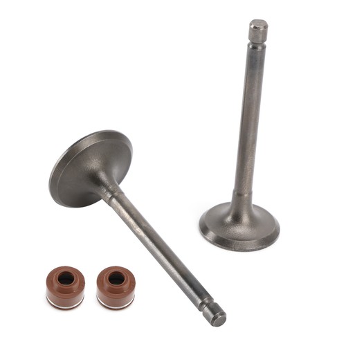 Inlet exhaust valves seals - inlet, &