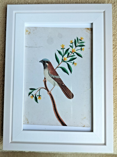 Antique indian india painting - indian,