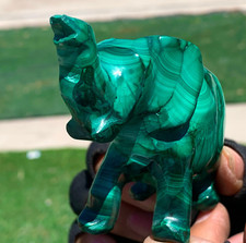 252G Natural glossy Malachite Crystal  Handcarved elephant mineral sample