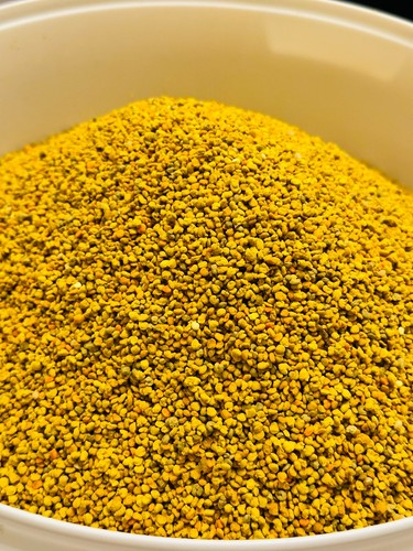 Raw bee pollen - bee,